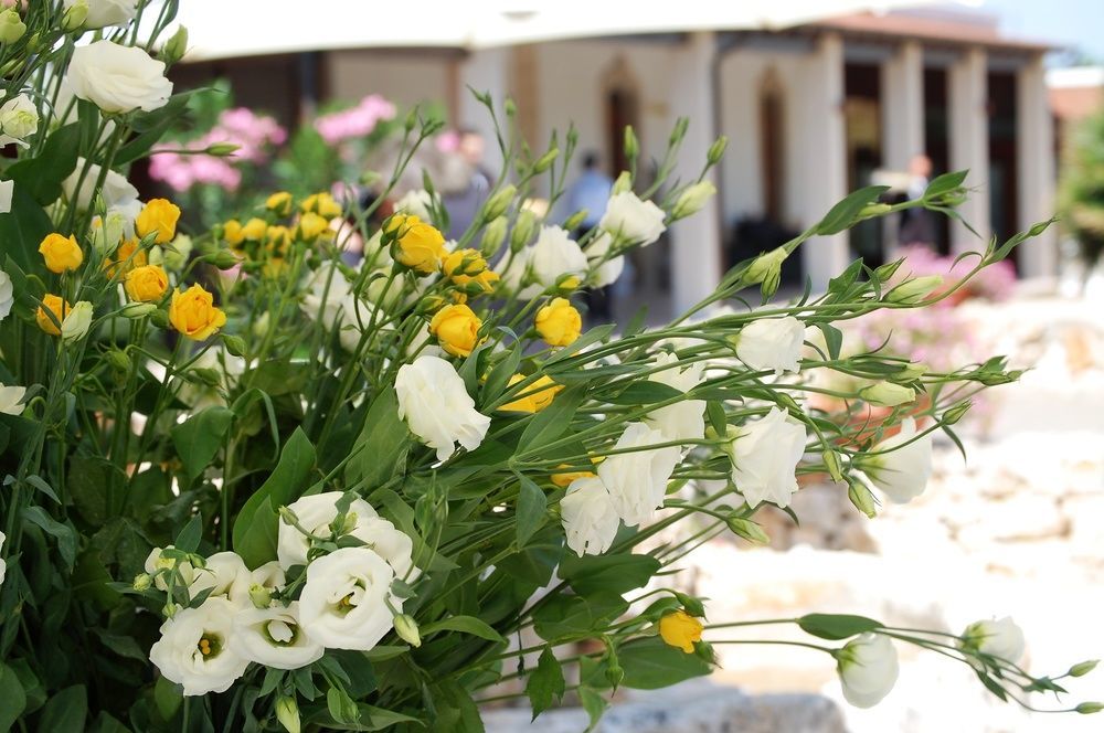 Masseria La Grande Quercia Hotel มอตโตลา ภายนอก รูปภาพ